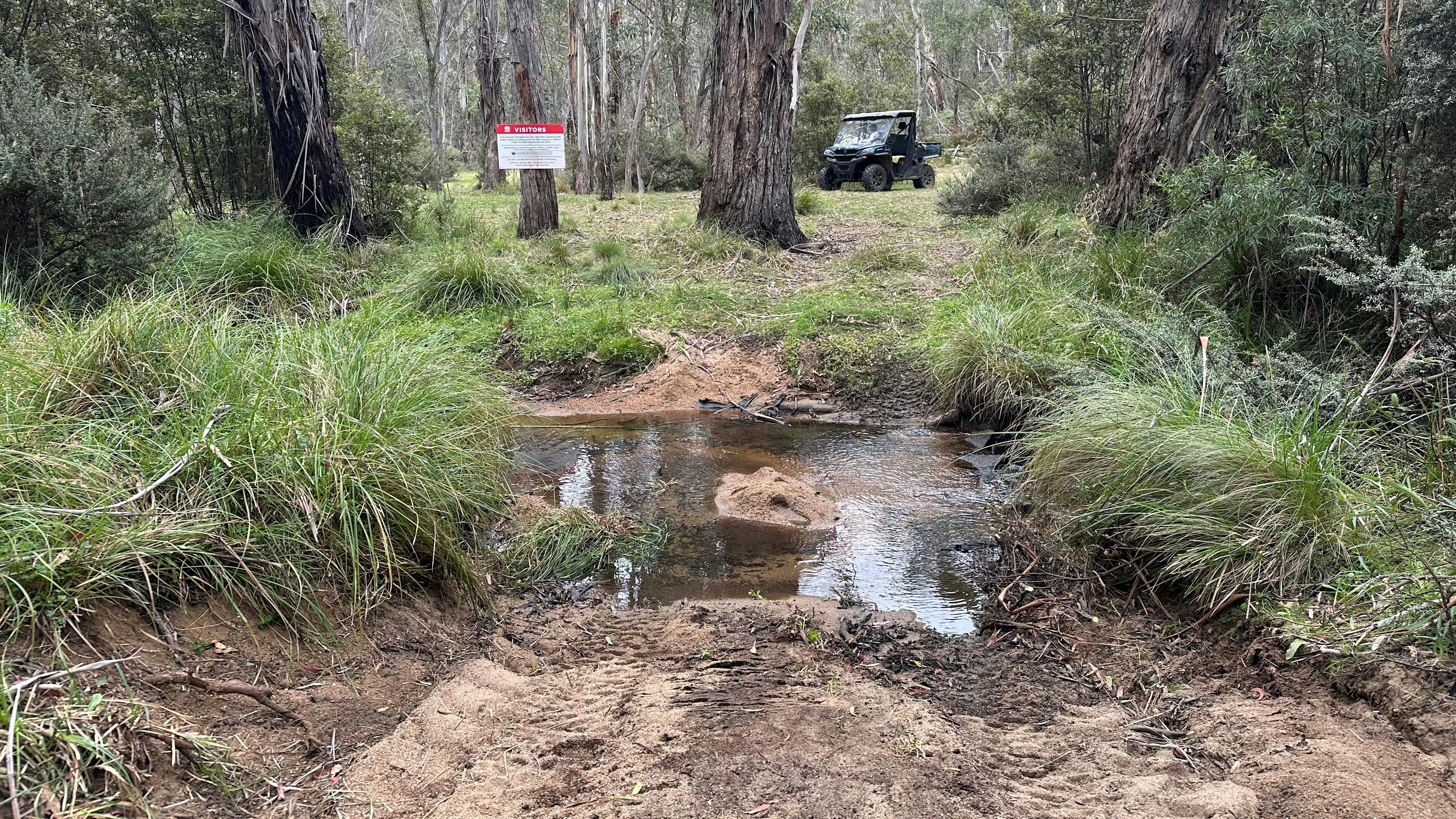 Brown Mountain Serenity
