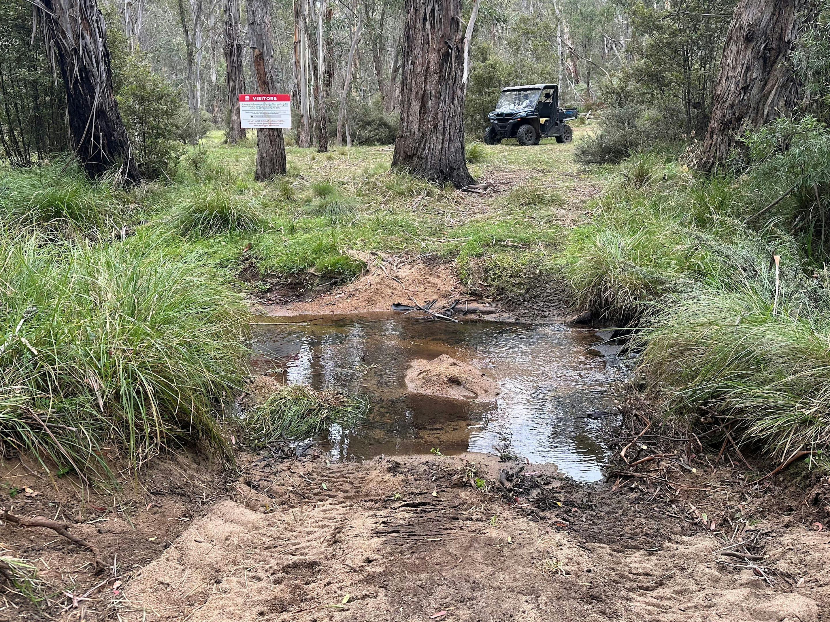Brown Mountain Serenity