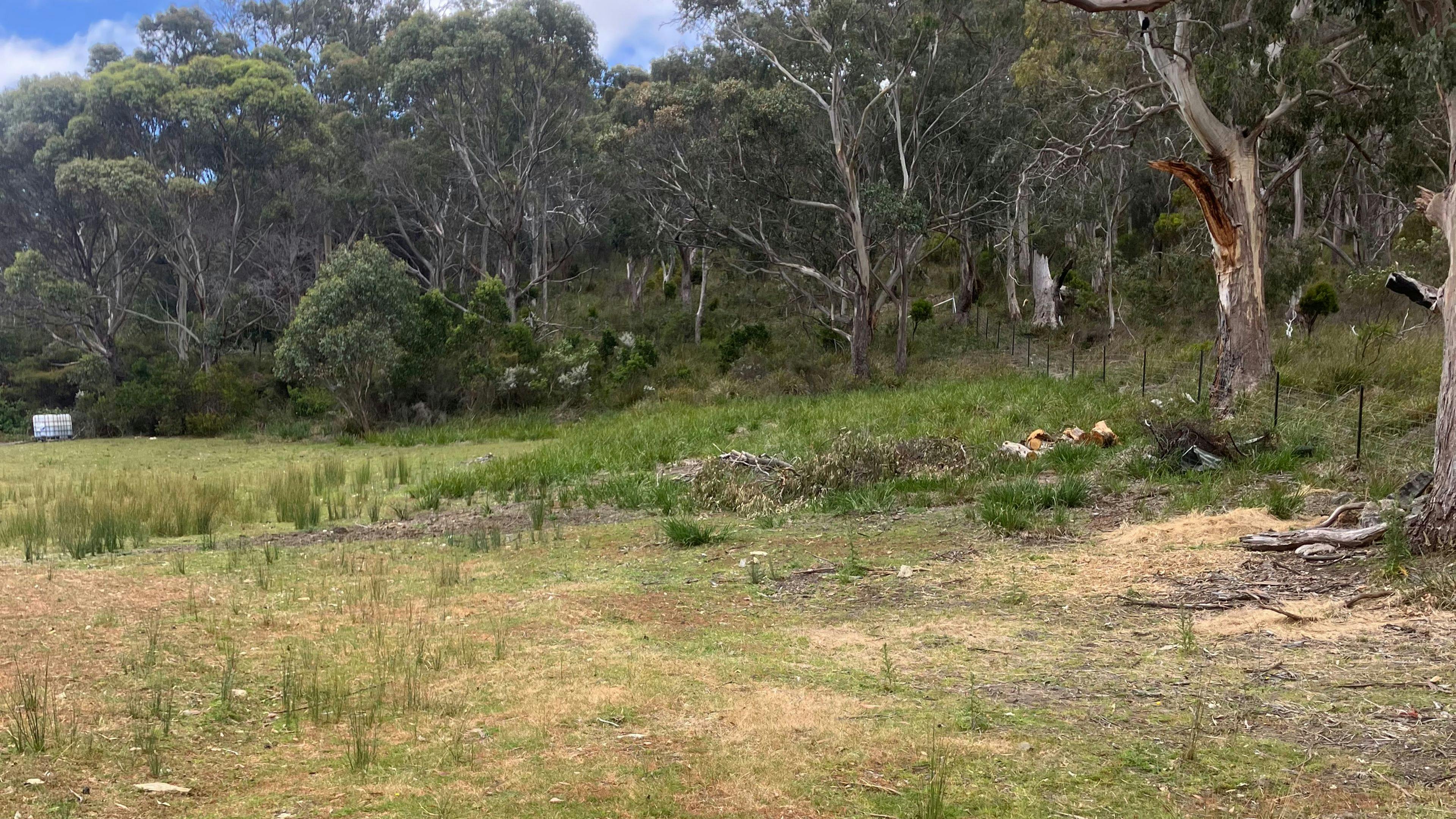 Bruny Getaway At Alonnah