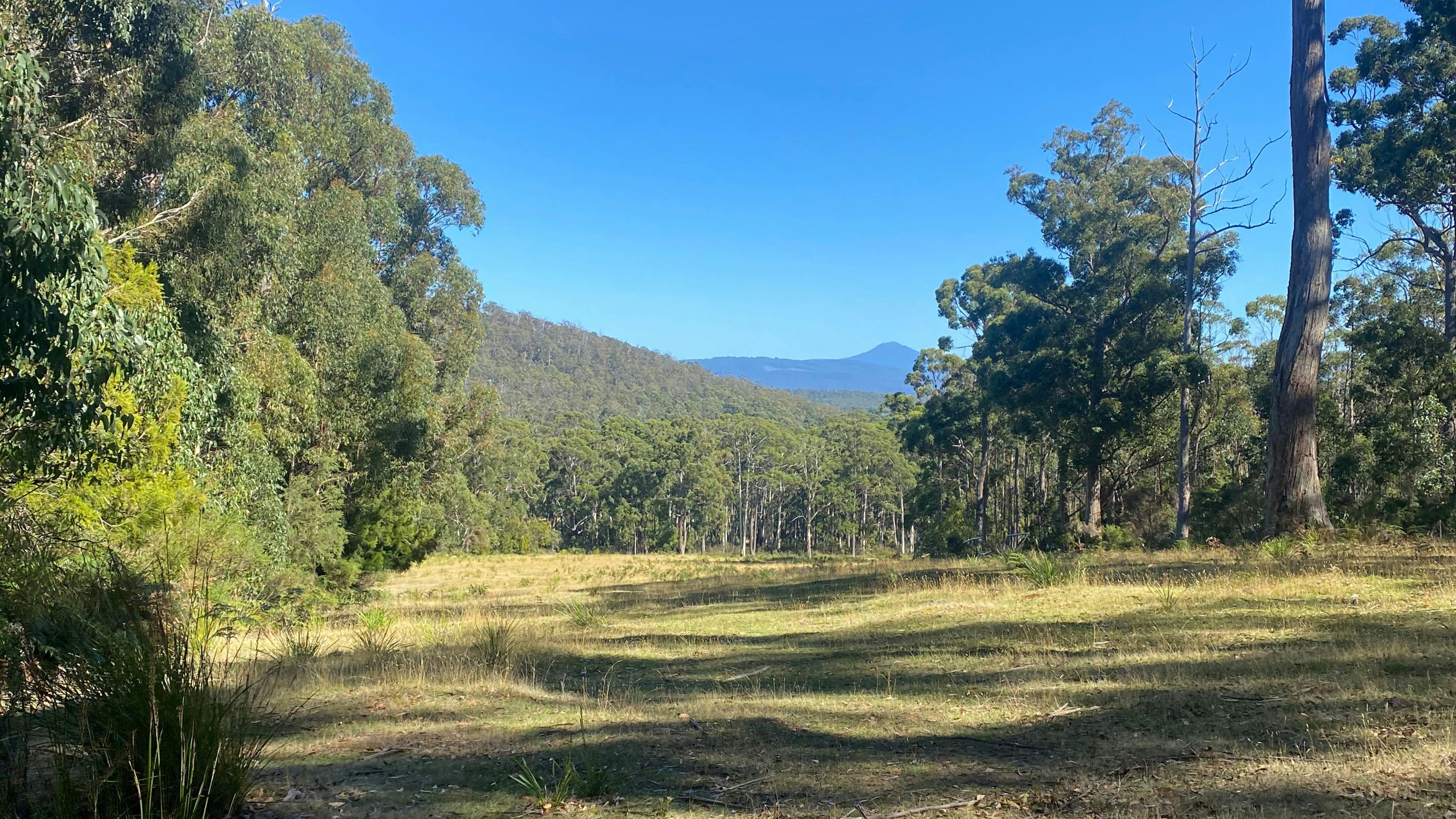 Bruny Island Bush Camp