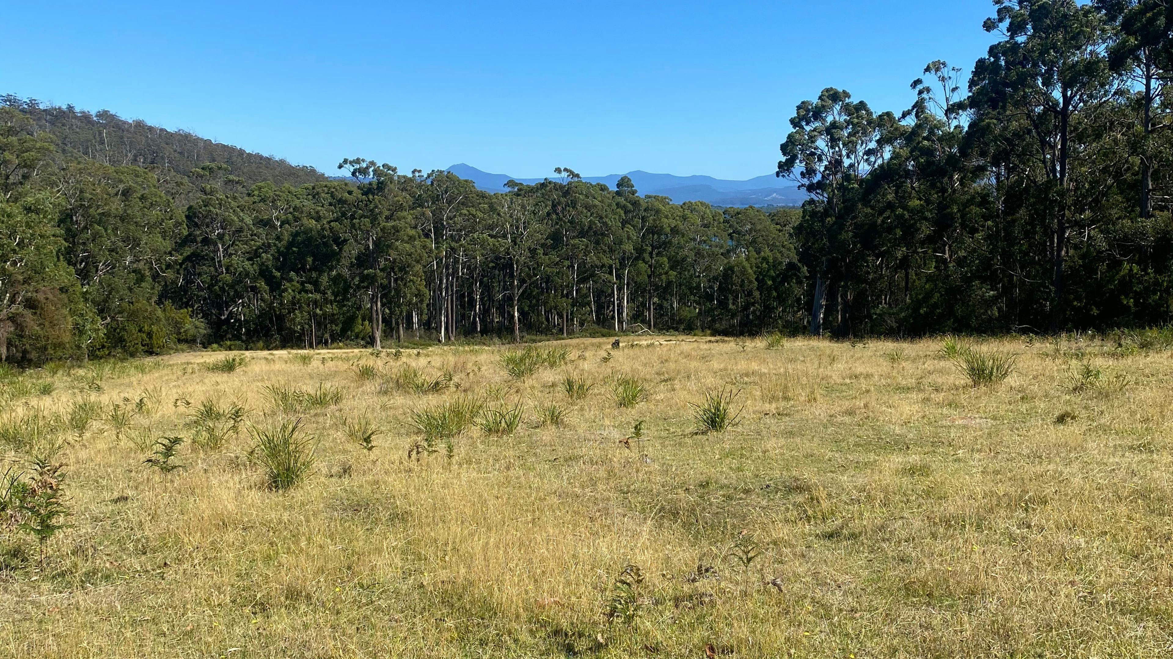 Bruny Island Bush Camp