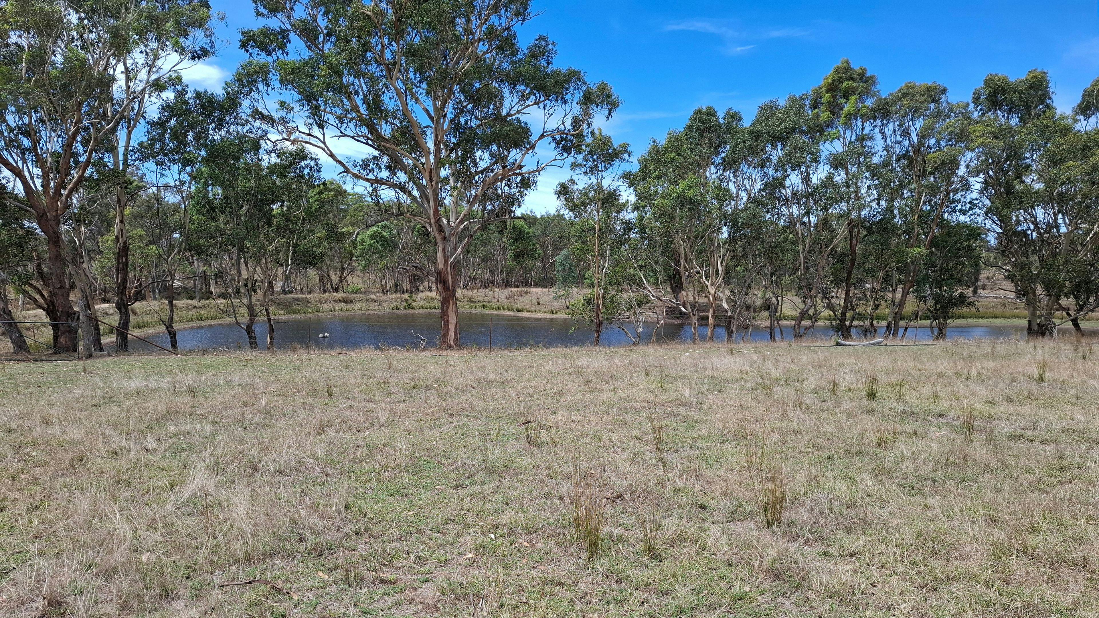 アローフィールド