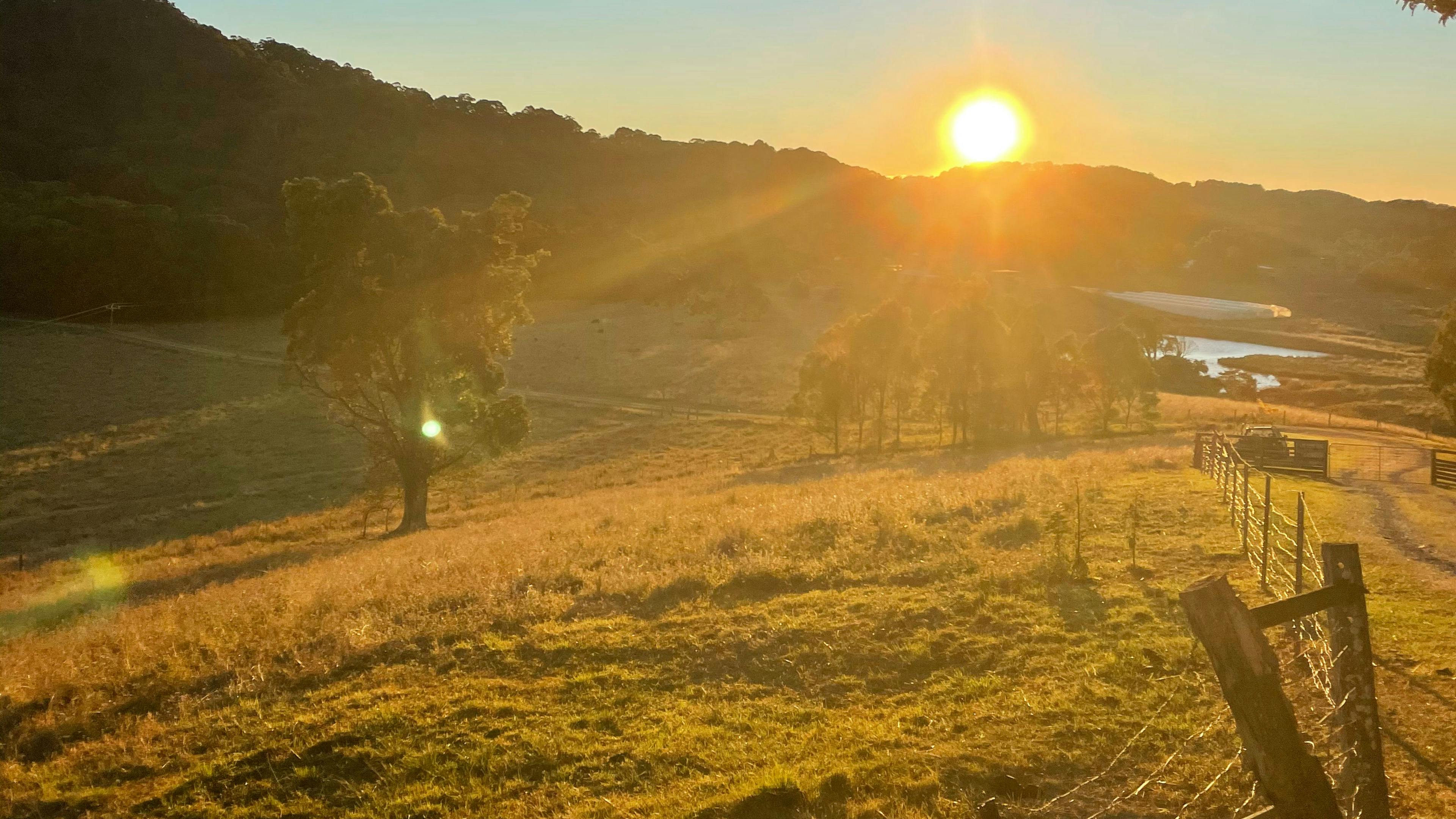 Paradise in The Pocket