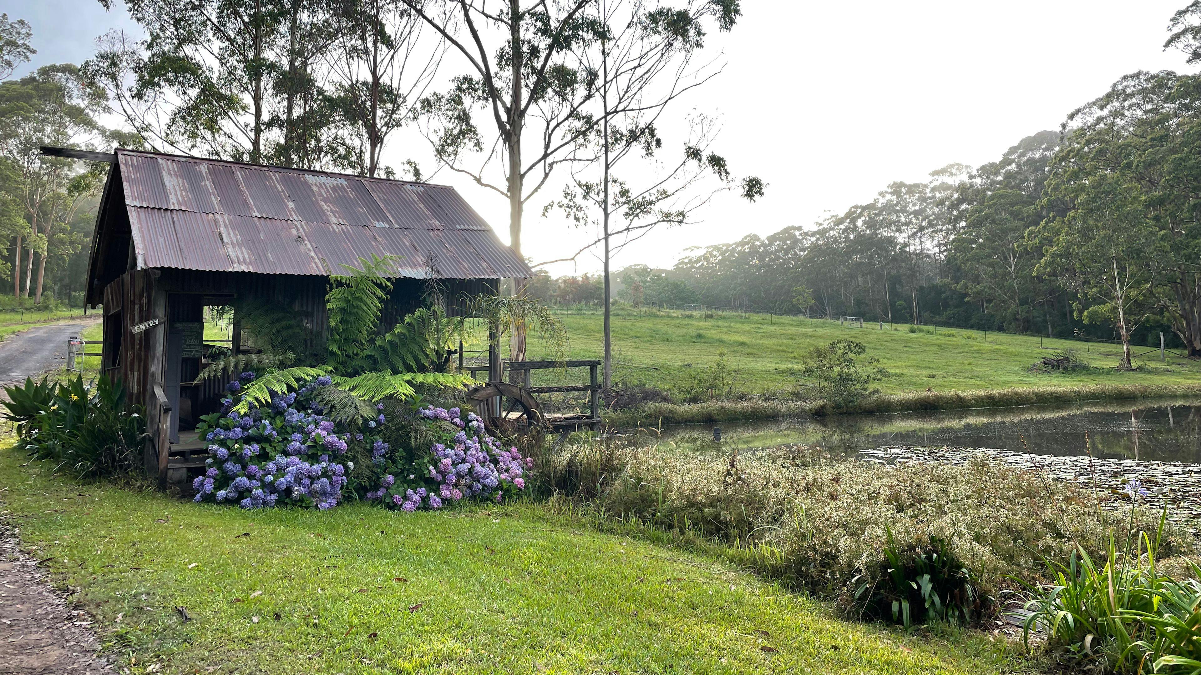 Bucca Valley Blueberries Farmstay