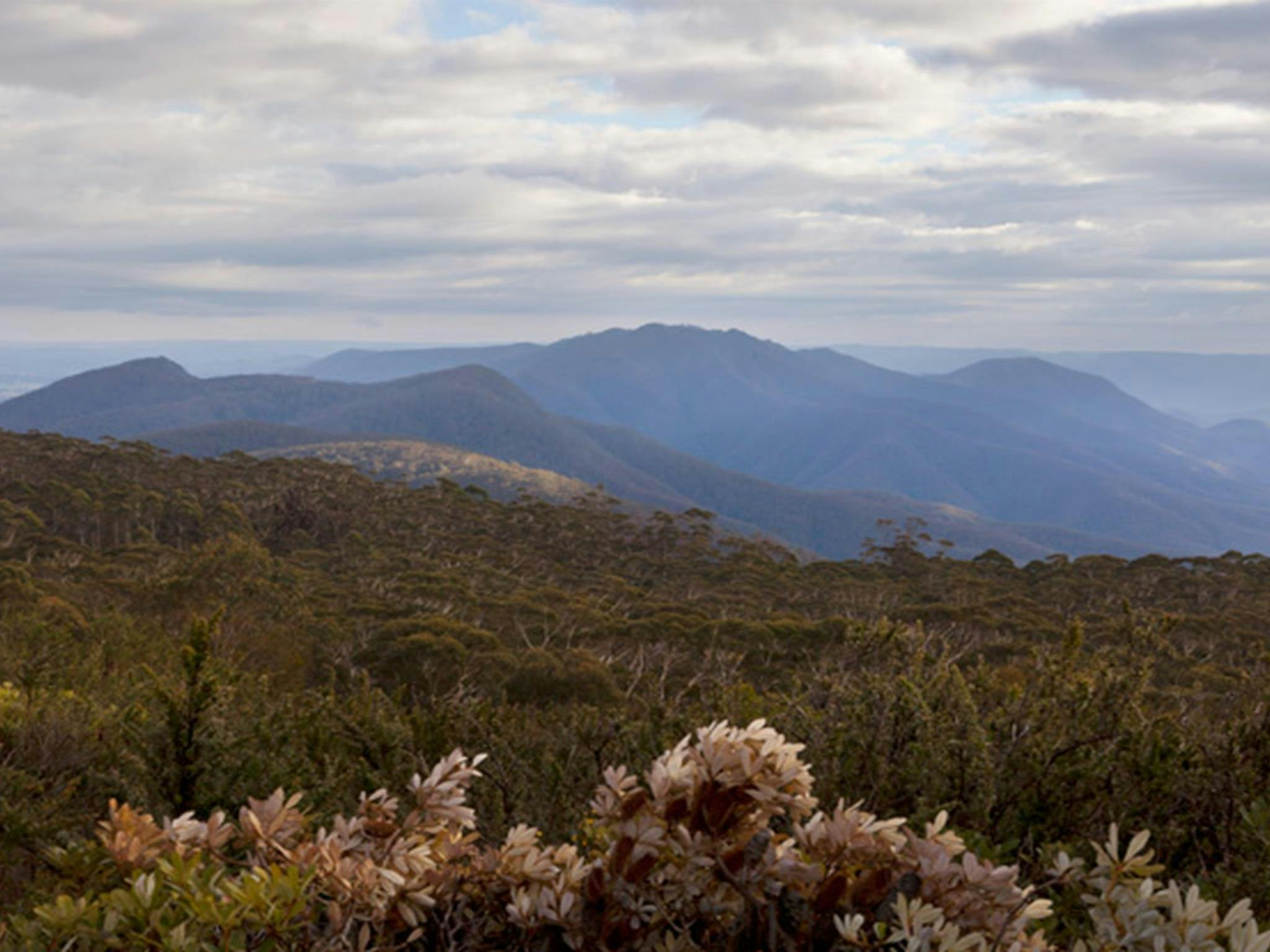 Budawang National Park