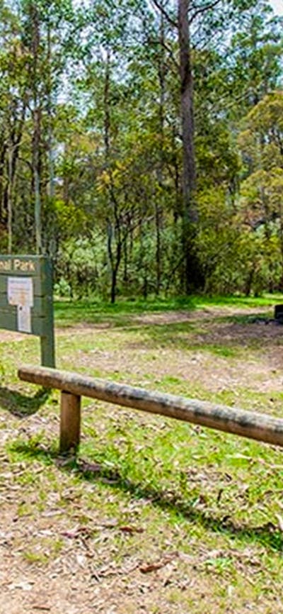 Buddong Falls campground, Kosciuszko National Park. Photo: Murray Vanderveer/NSW Government