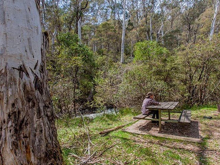 Buddong Falls campground, Kosciuszko National Park. Photo: Murray Vanderveer/NSW Government