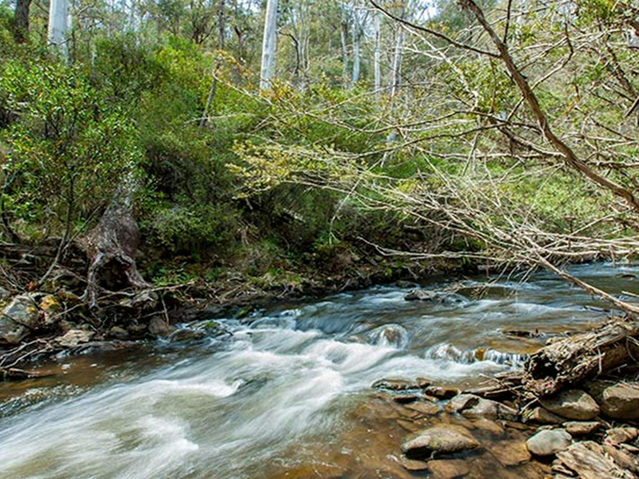 Buddong Falls campground, Kosciuszko National Park. Photo: Murray Vanderveer/NSW Government