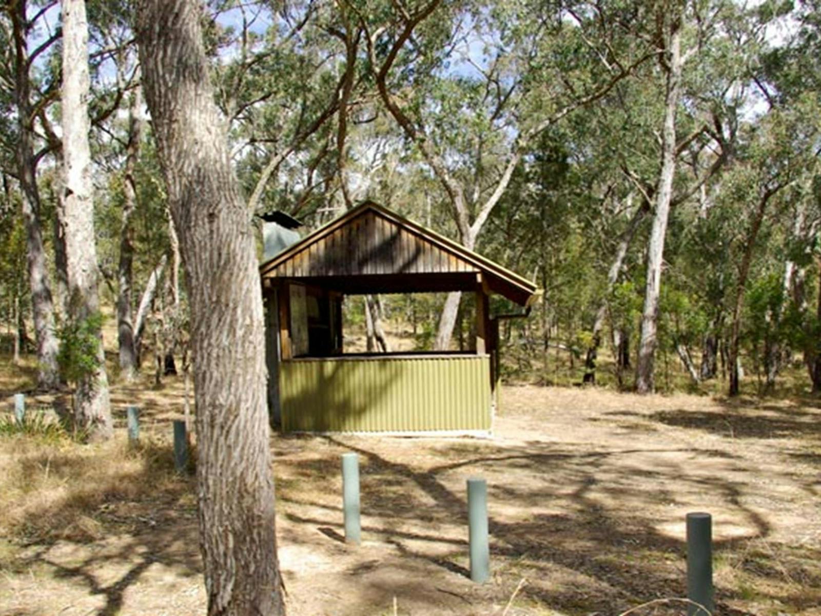 Budds Mare Campground, Oxley Wild Rivers National Park. Photo: Piers Thomas/NSW Government