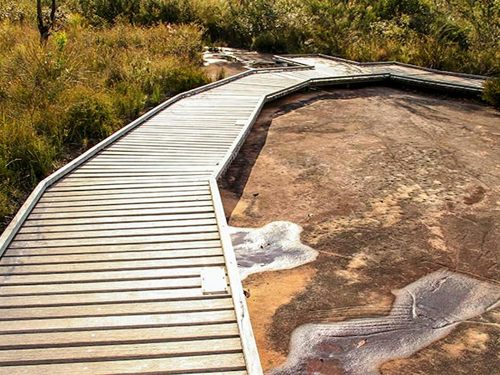 Bulgandry Art Site, Aboriginal Place, Brisbane Water National Park. Foto: John Yurasek © OEH