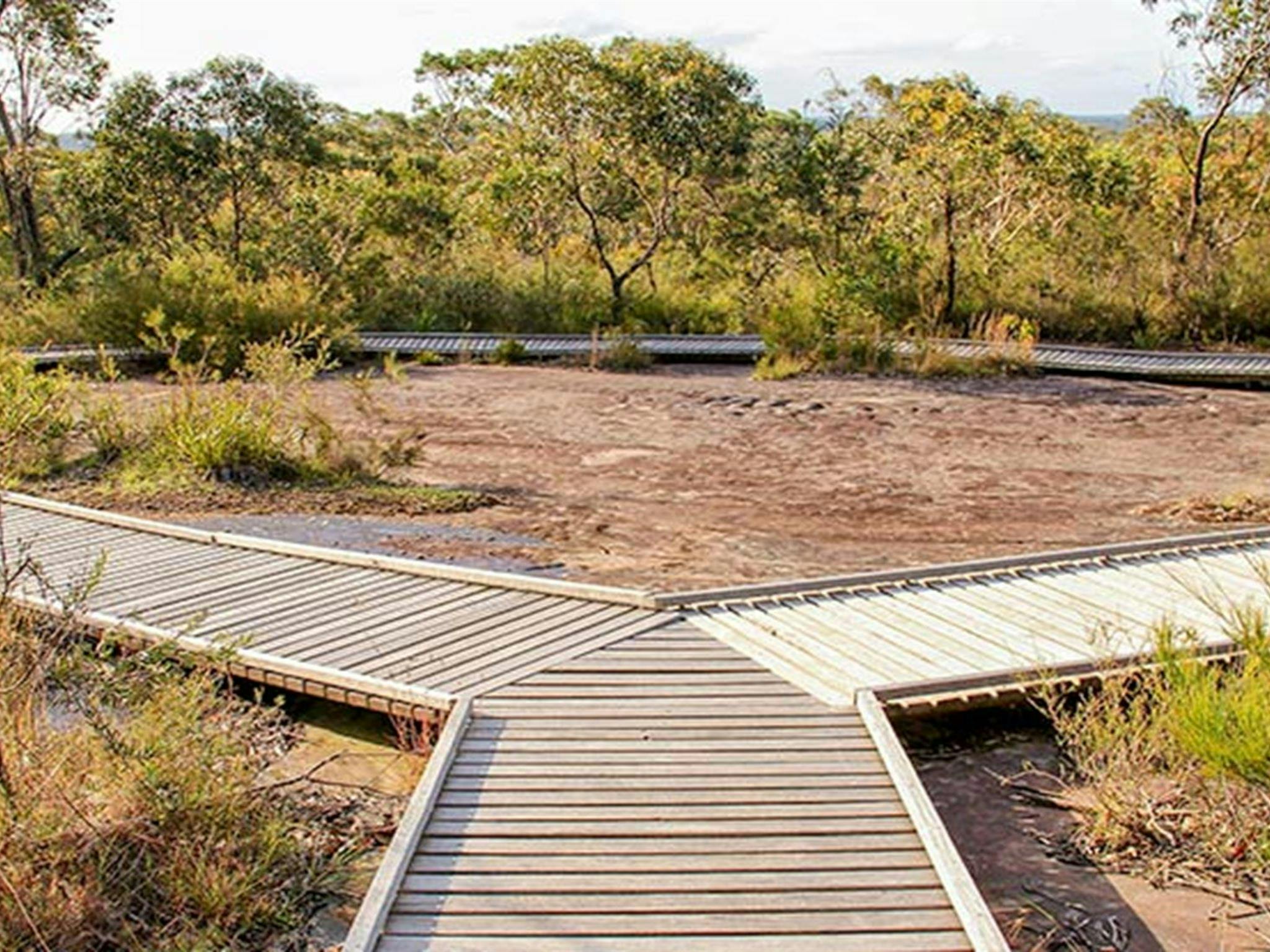 Bulgandry Art Site Aboriginal Place, Brisbane Water National Park. Photo: John Yurasek &copy; OEH