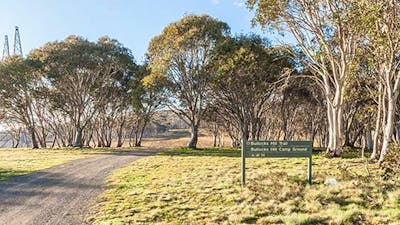 Gravel road and sign at Bullocks Hill campground, northern Kosciuszko National Park. Photo: Murray