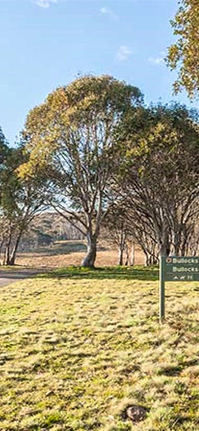 Gravel road and sign at Bullocks Hill campground, northern Kosciuszko National Park. Photo: Murray