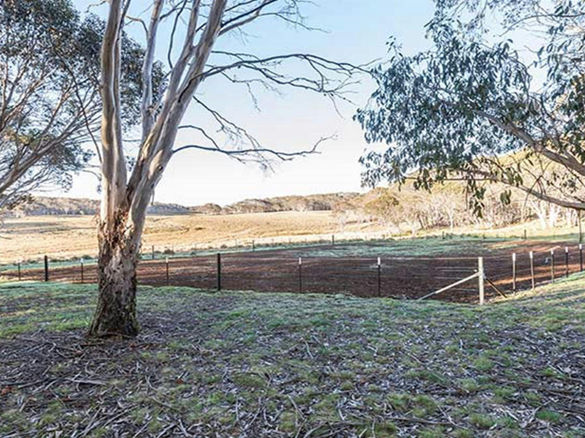 Fenced horse yard at Bullocks Hill campground, northern Kosciuszko National Park. Photo: Murray