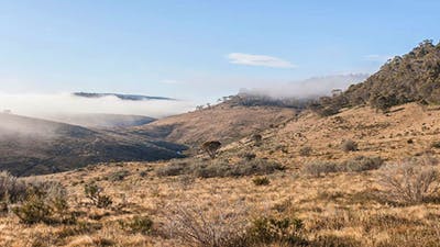 View of open plains and mist-filled valley near Bullocks Hill trail, northern Kosciuszko National