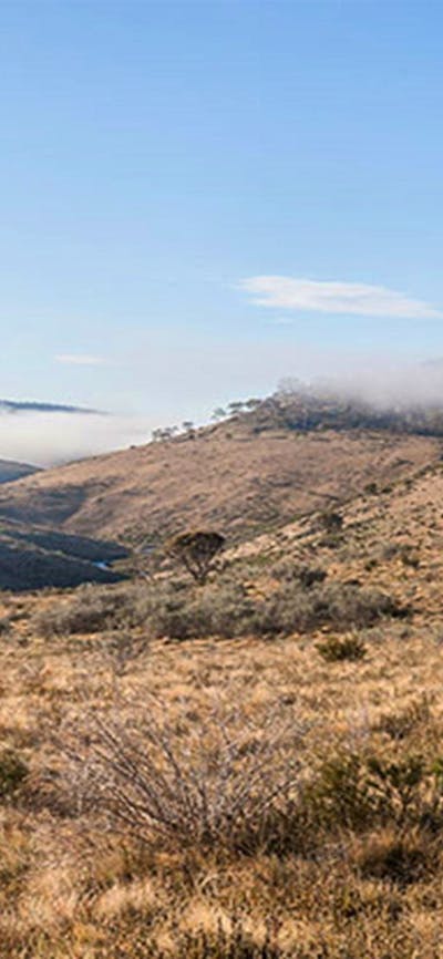 View of open plains and mist-filled valley near Bullocks Hill trail, northern Kosciuszko National
