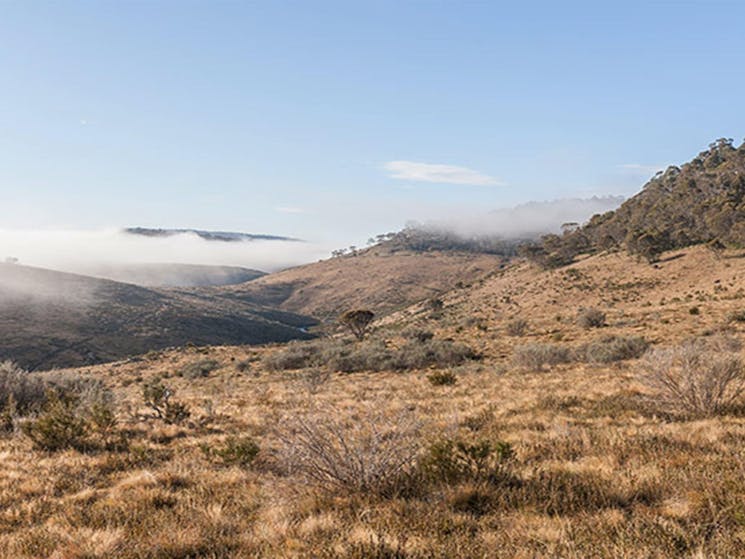 View of open plains and mist-filled valley near Bullocks Hill trail, northern Kosciuszko National