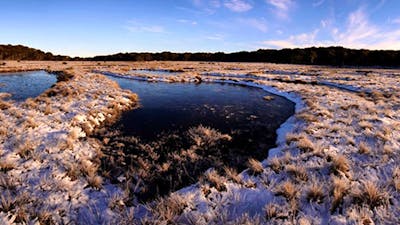 Early morning frost at Bullocks Hill bog and plain, northern Kosciuszko National Park. Photo: Jo