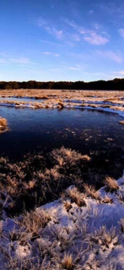 Early morning frost at Bullocks Hill bog and plain, northern Kosciuszko National Park. Photo: Jo