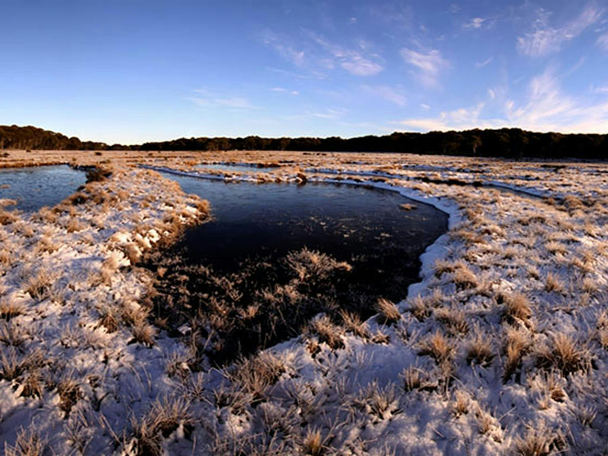 Early morning frost at Bullocks Hill bog and plain, northern Kosciuszko National Park. Photo: Jo
