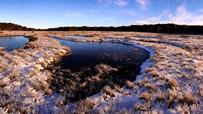 Early morning frost at Bullocks Hill bog and plain, northern Kosciuszko National Park. Photo: Jo