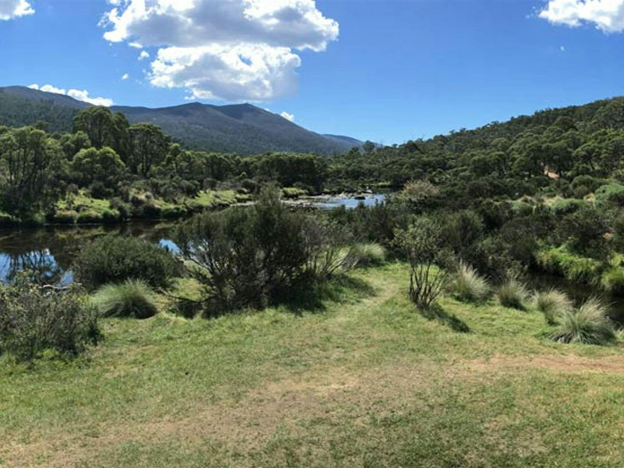Views of Thredbo River from Bullocks Hut, Kosciuszko National Park. Photo: Stephen Townsend/OEH