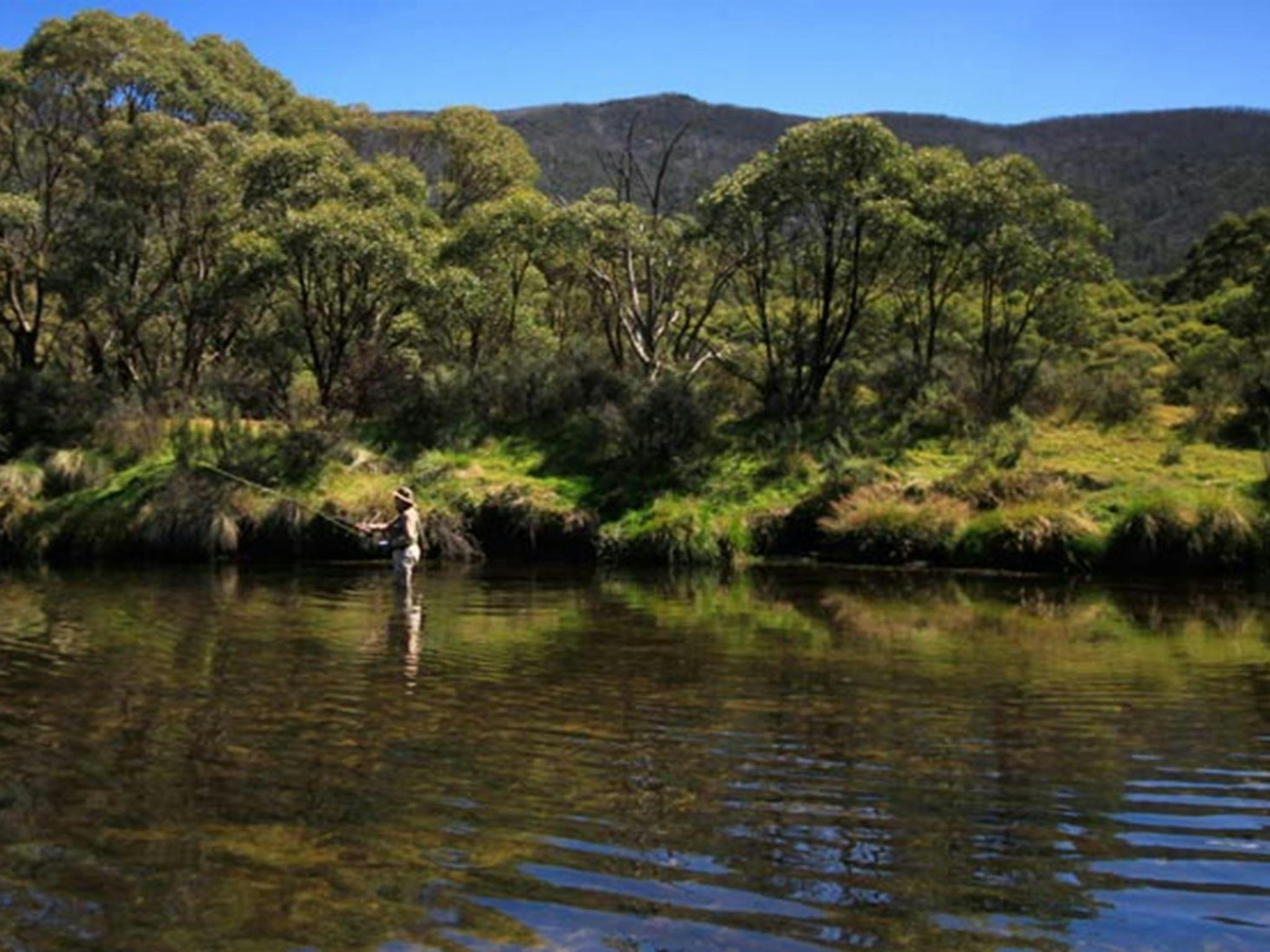 A man fly fishing in the Thredbo River at Bullocks Hut, Kosciuszko National Park. Photo: Elinor