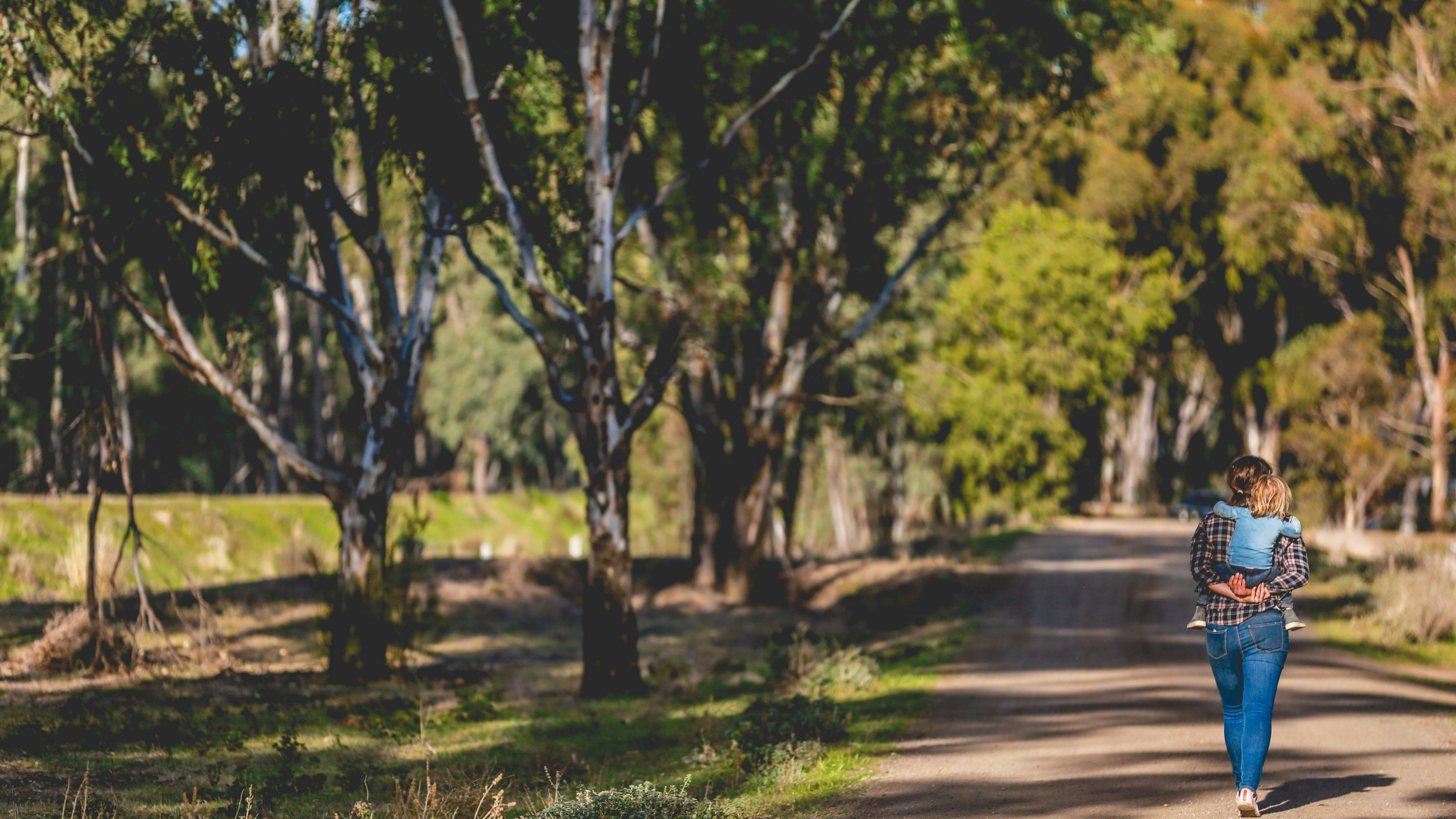 Bundarra Berkshires Farm Camp NSW Holidays & Things to