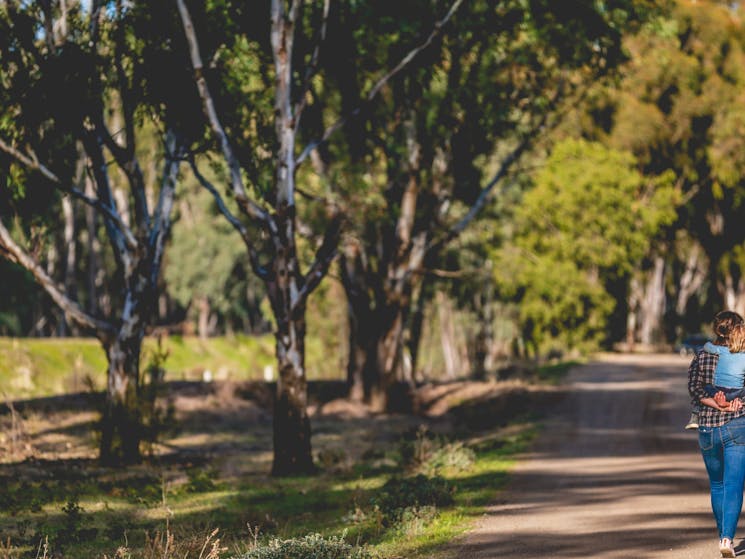 Bundarra Berkshires Farm Camp