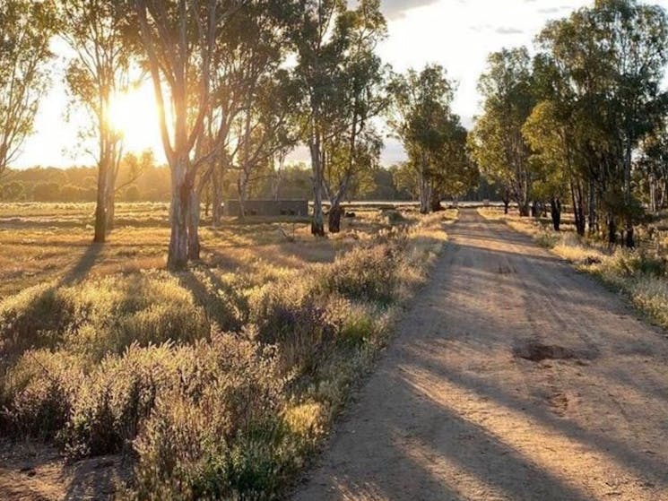 Bundarra Berkshires Farm Camp