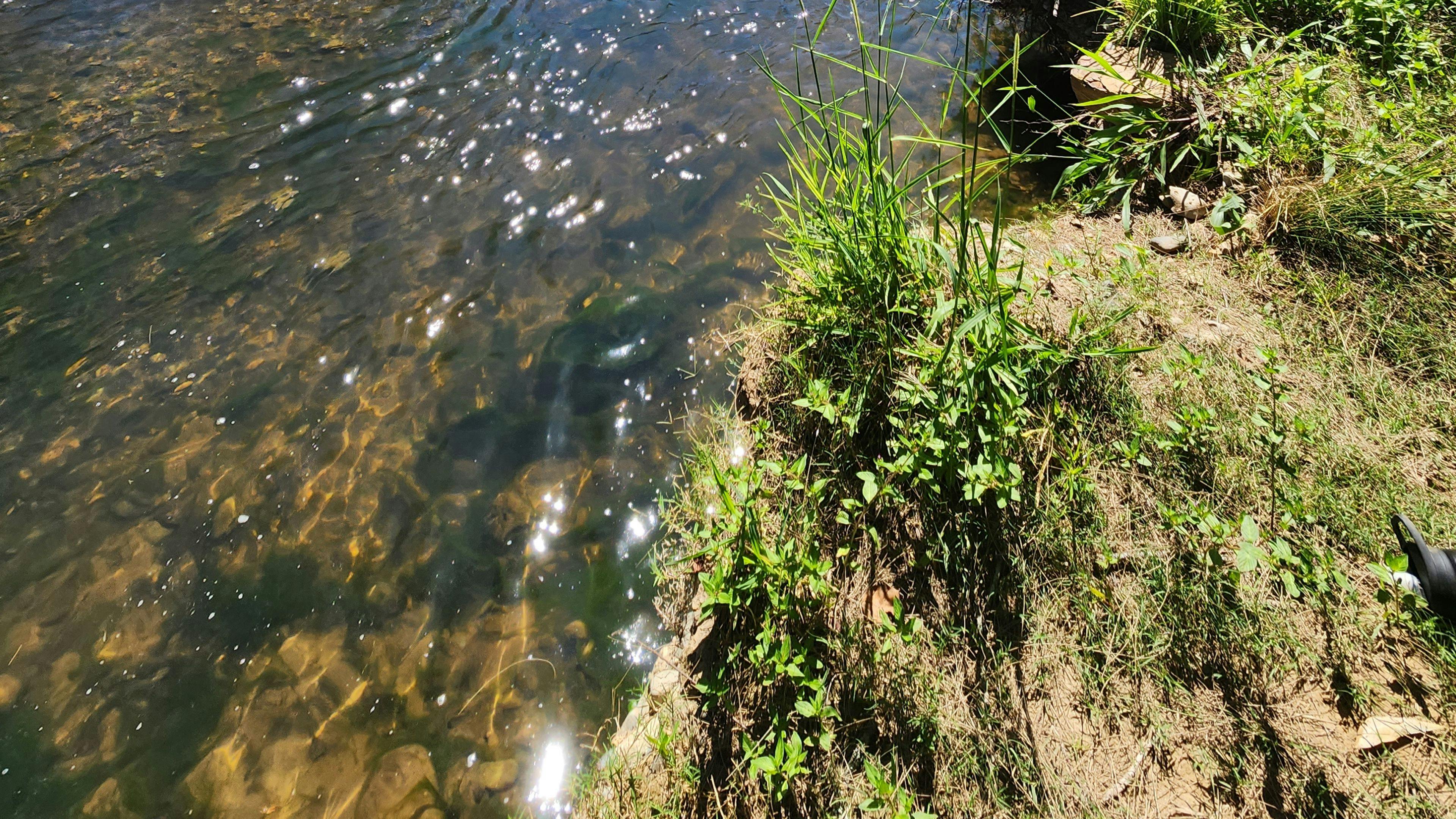 Bundilla River Camp