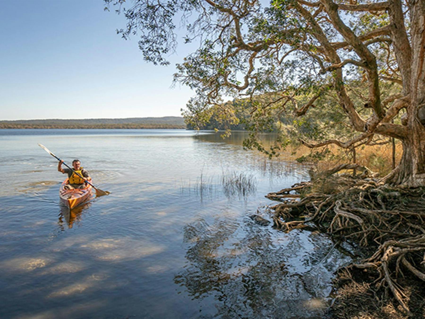 Visitor paddling across Boolambayte Lake, Bungarie Bay campground. Credit: John Spencer © DPE