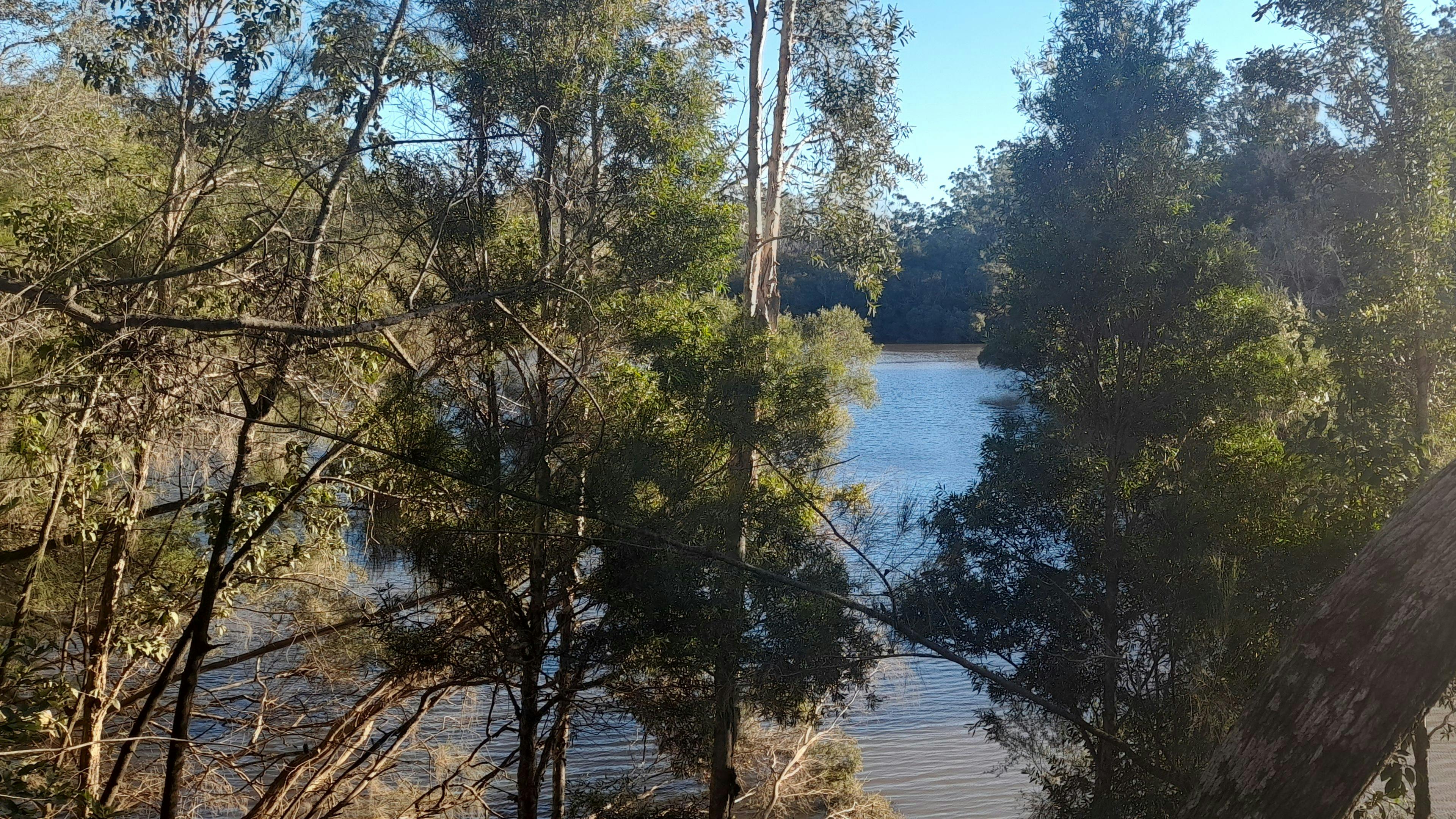 The Bungawalbin Creek from Riverbank Camp site 4