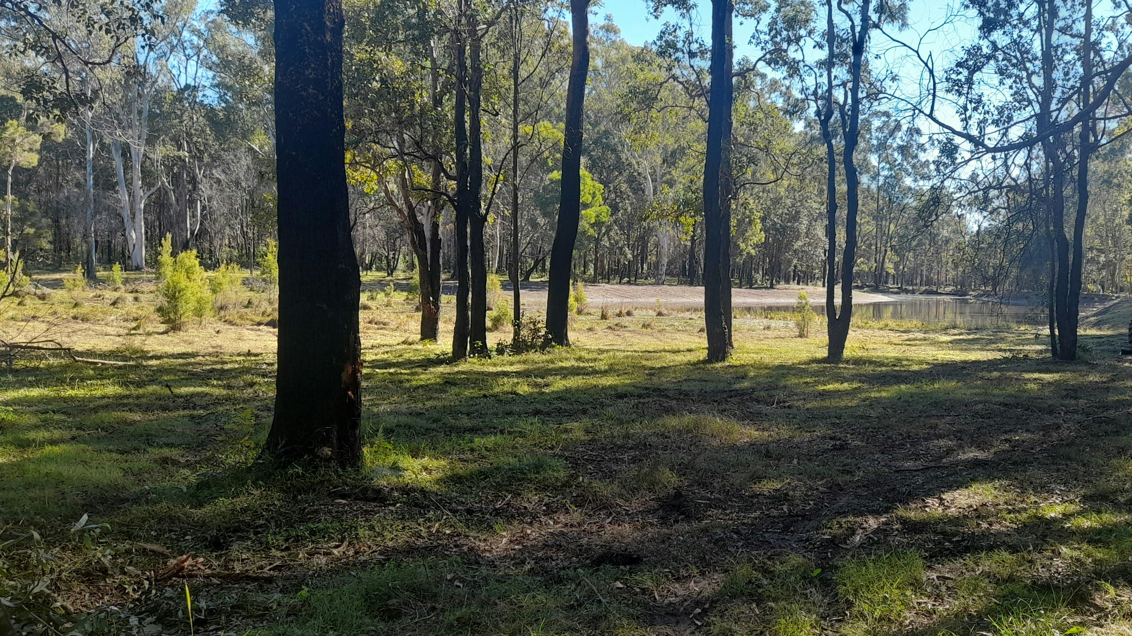 WATERBIRD SANCTUARY SITE 1