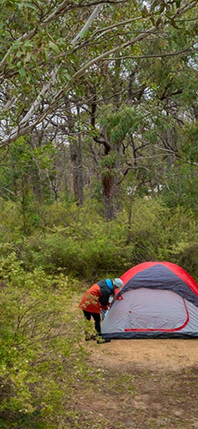 Campers setting up their tent among bushland at Bungonia campground. Photo: John Spencer/DCCEEW
