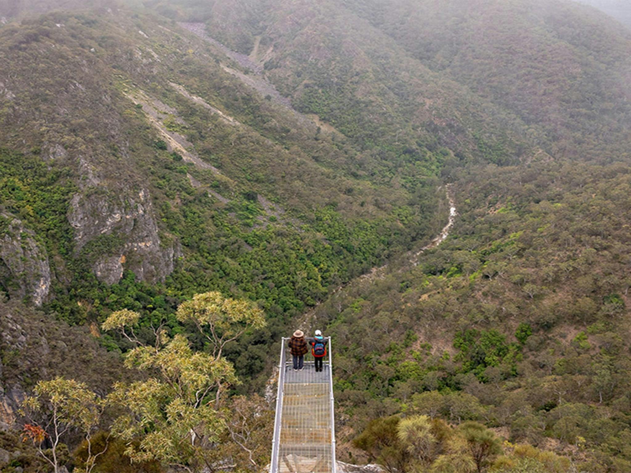 People admiring the views from The Lookdown lookout in Bungonia National Park. Photo: John