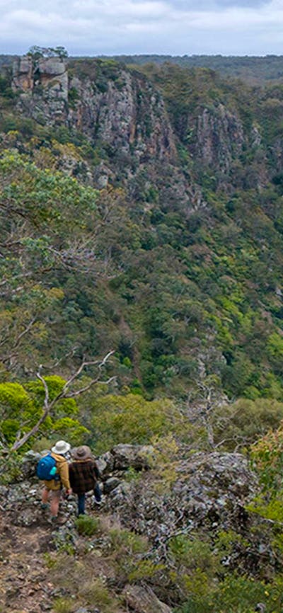 Walkers on The Green track in Bungonia National Park. Photo: John Spencer/DCCEEW © DCCEEW