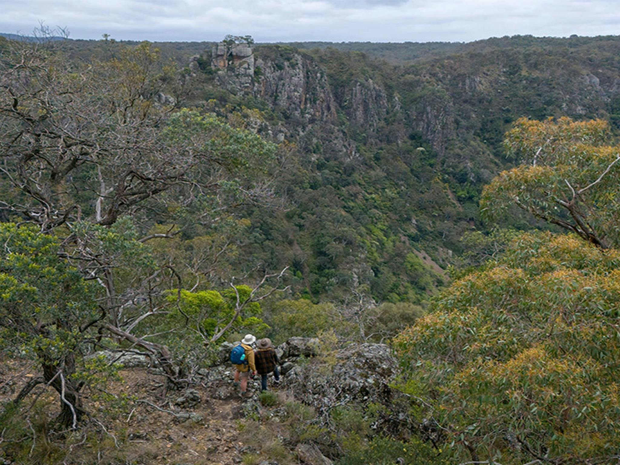 Walkers on The Green track in Bungonia National Park. Photo: John Spencer/DCCEEW &copy; DCCEEW