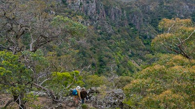 Walkers on The Green track in Bungonia National Park. Photo: John Spencer/DCCEEW © DCCEEW