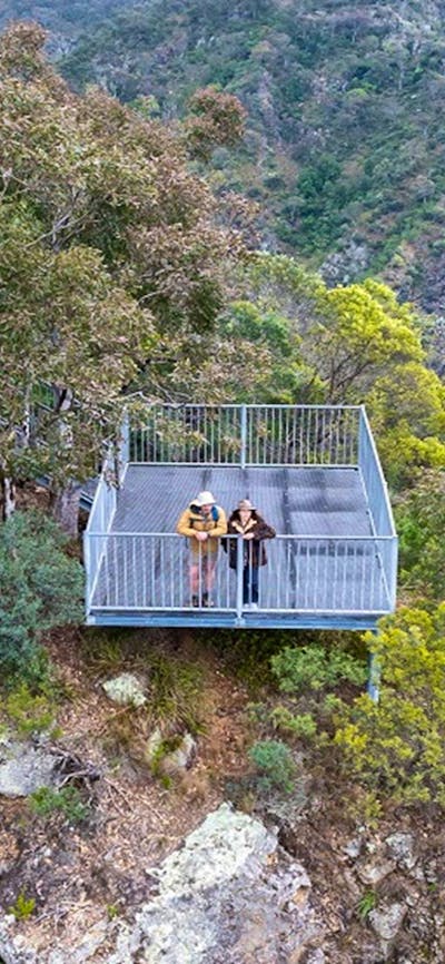 Two visitors look down into the bush and cliff face at Adams lookout and picnic area, Bungonia