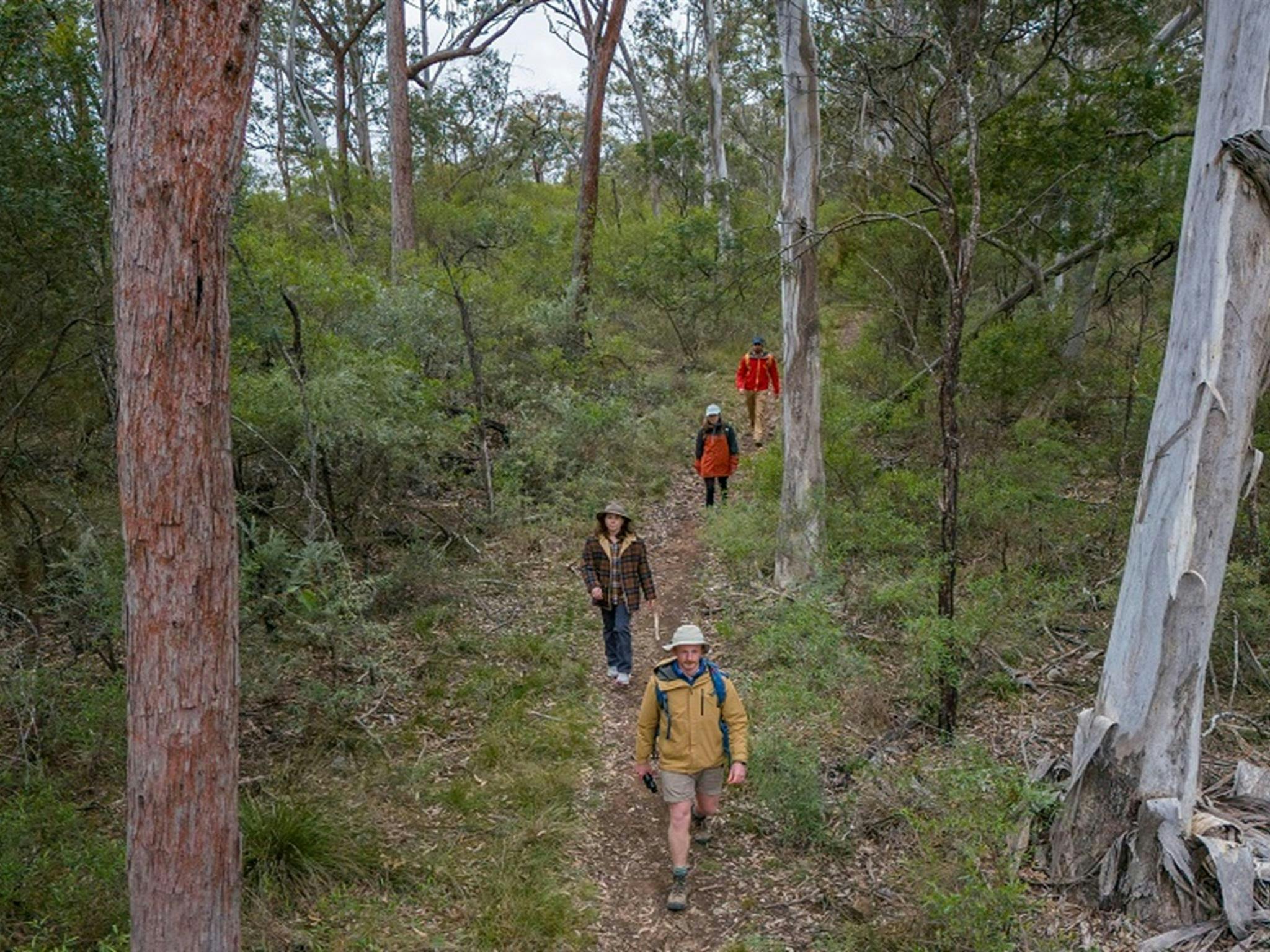 Bungonia National Park