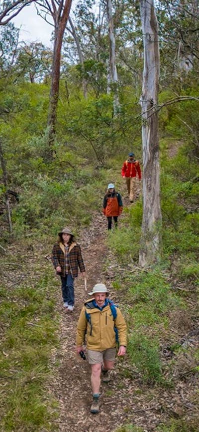 Four visitors walk through the lush Green track, Bungonia National Park. Photo: John Spencer ©