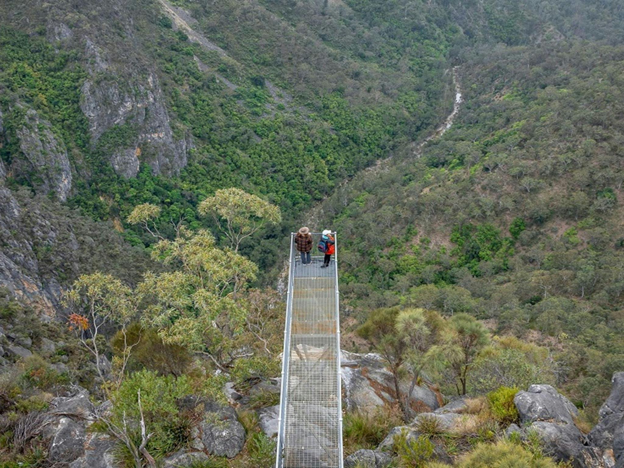 Aerial view of visitors on the Lookdown lookout, taking in the grey cliffs, woodland ravines and the