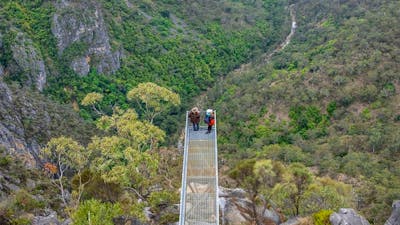Aerial view of visitors on the Lookdown lookout, taking in the grey cliffs, woodland ravines and the