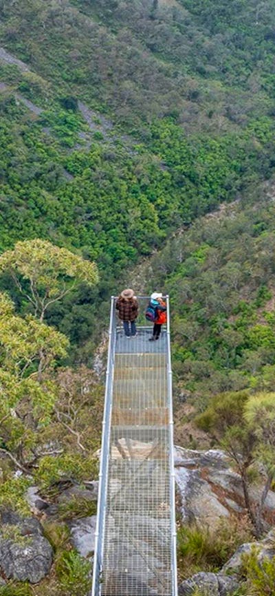 Aerial view of visitors on the Lookdown lookout, taking in the grey cliffs, woodland ravines and the