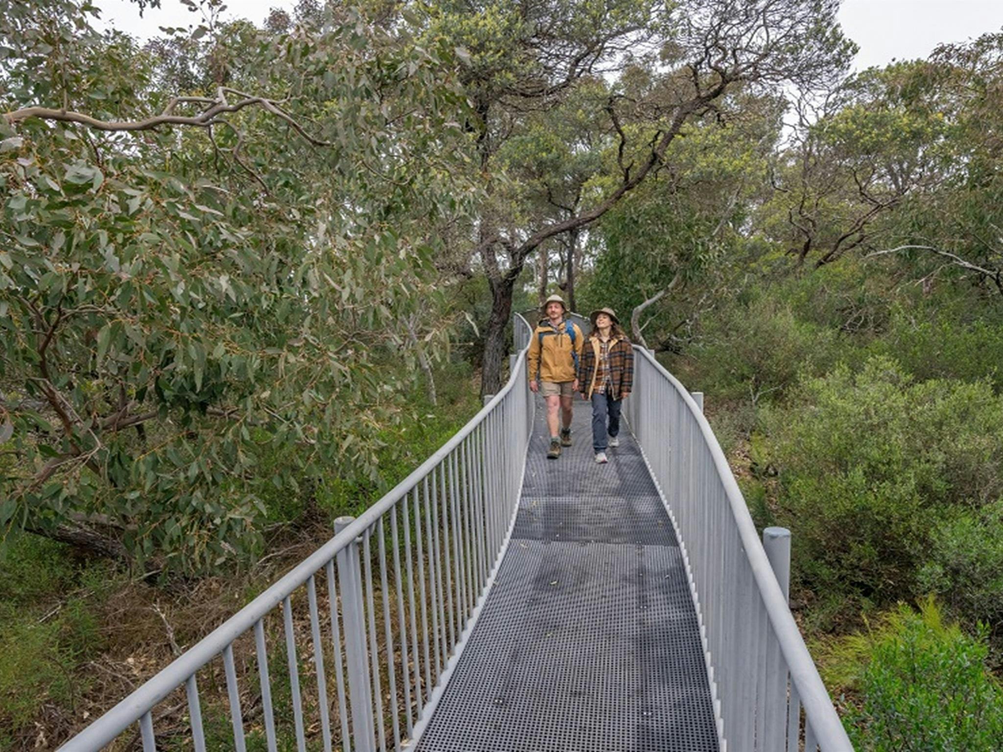 Bungonia National Park