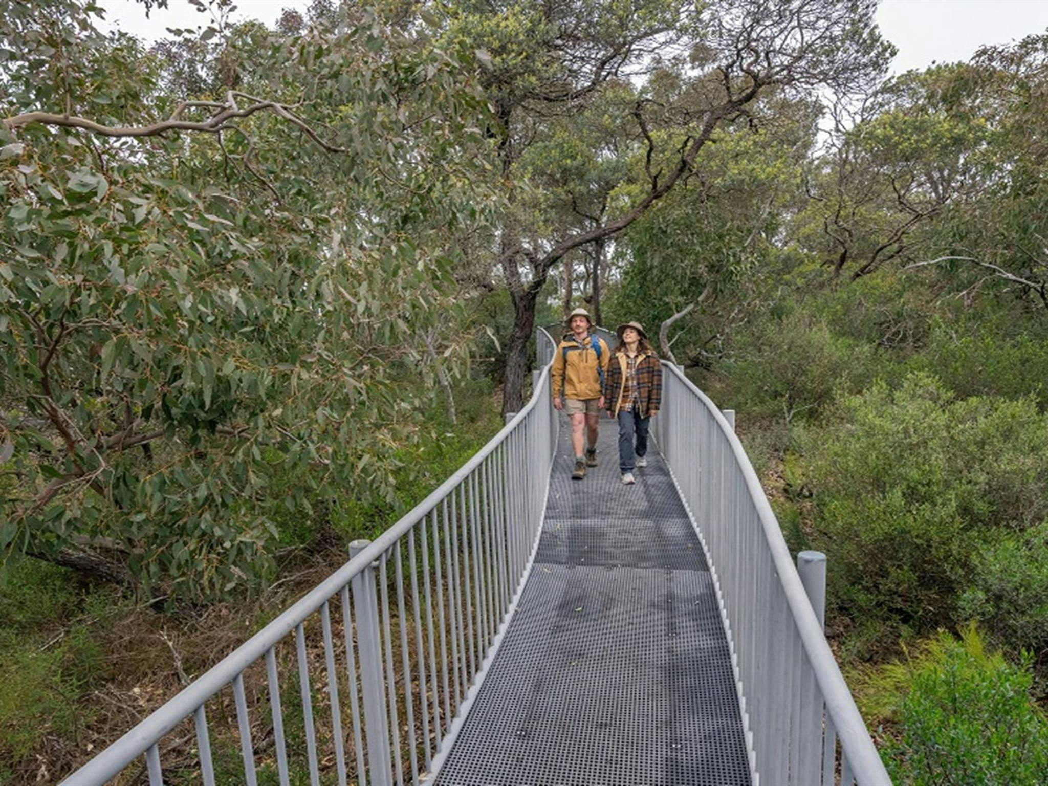 A man and a woman walking on a narrow steel track to Adams lookout and picnic area, Bungonia