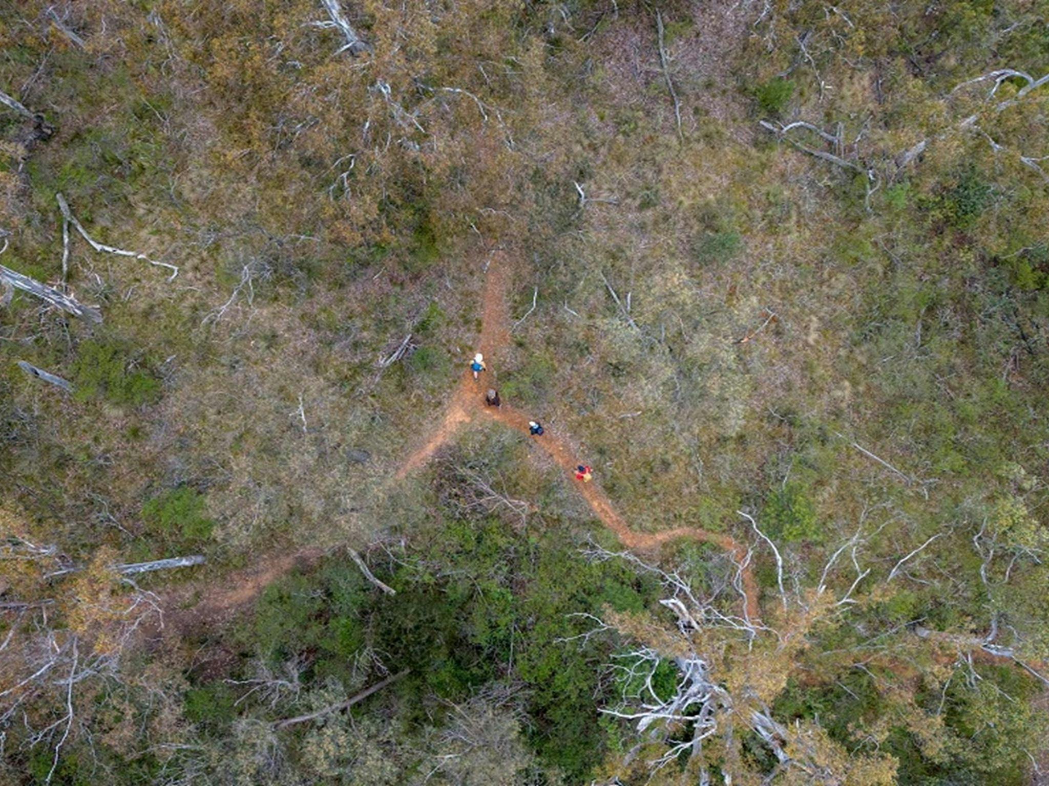 Aerial view of the Green track, with 4 walkers along it, Bungonia National Park. Photo: John Spencer