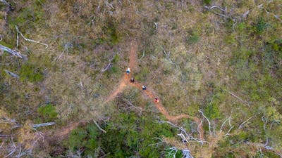 Aerial view of the Green track, with 4 walkers along it, Bungonia National Park. Photo: John Spencer