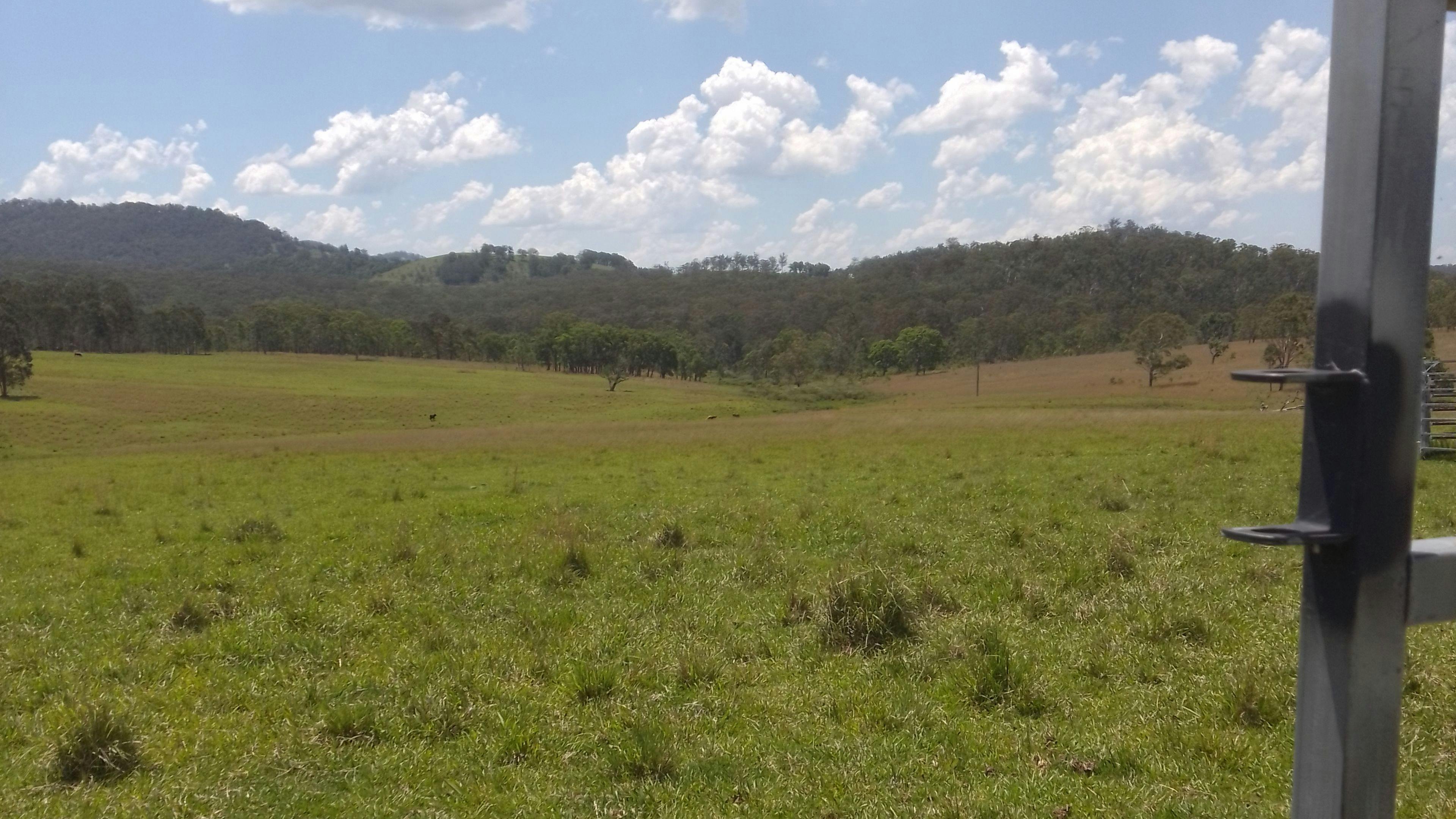 Bungoona